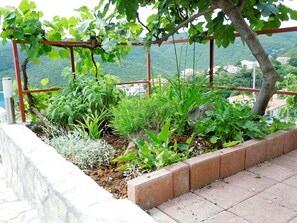 Courtyard - Apartments Elide (Labin)