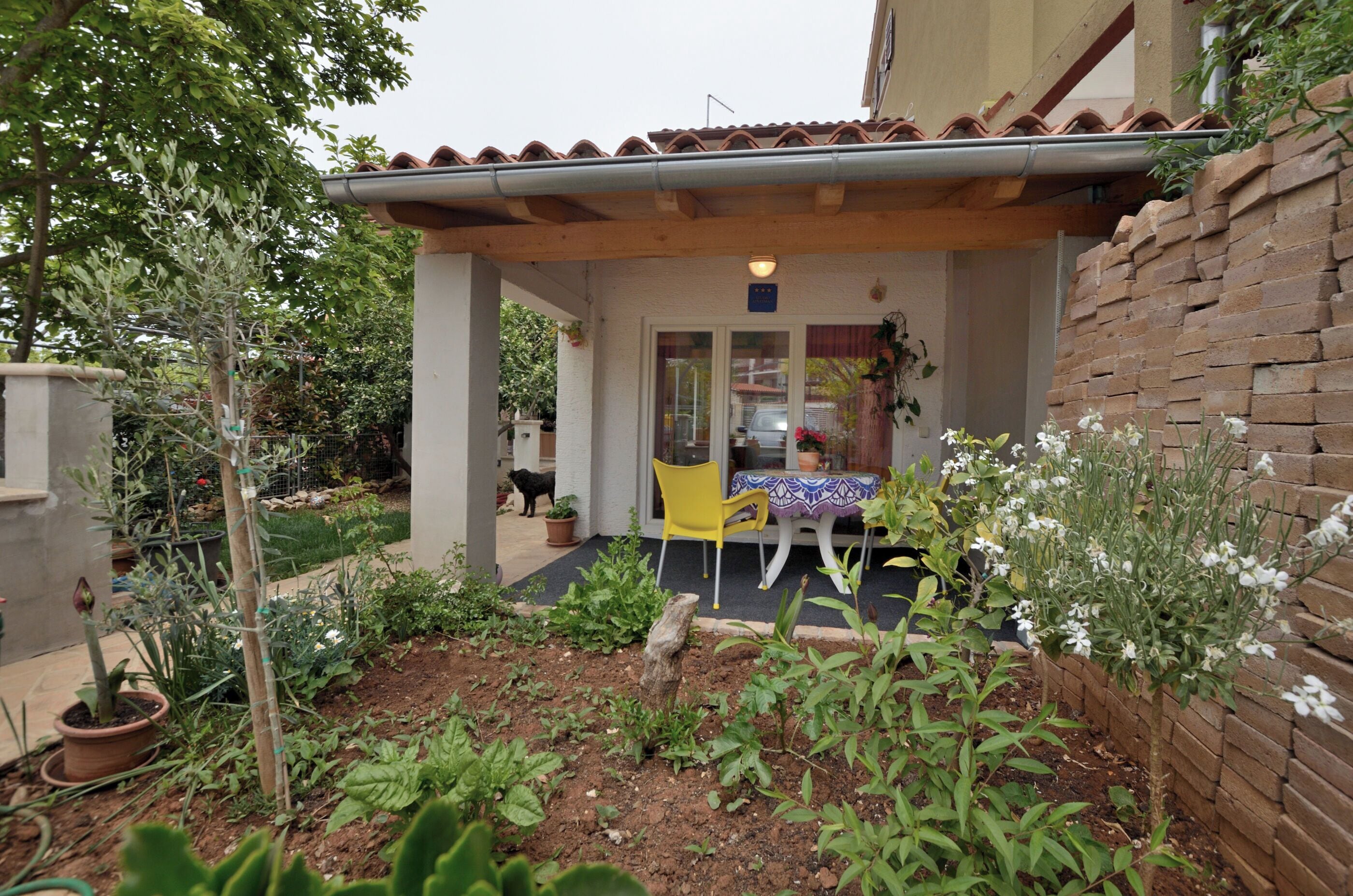 A covered patio area with a table and chairs, surrounded by a garden with various plants and flowers.