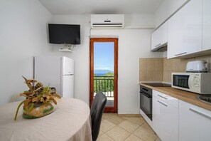 Apartment (A6) | Private kitchen | Fridge, microwave, stovetop, dishwasher