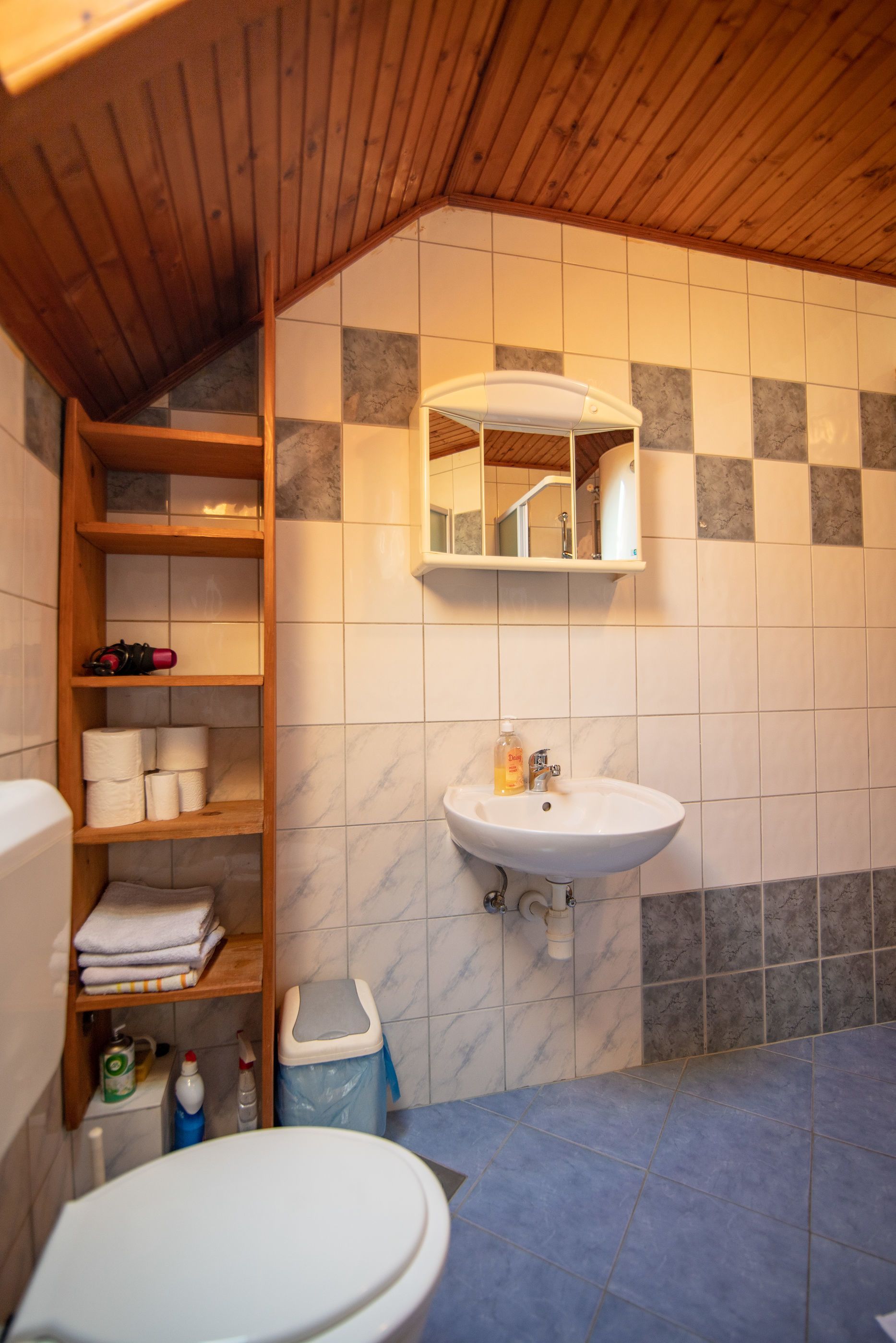 Badkamer | Een douche, een haardroger
