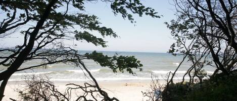Sun-loungers, beach umbrellas, beach towels