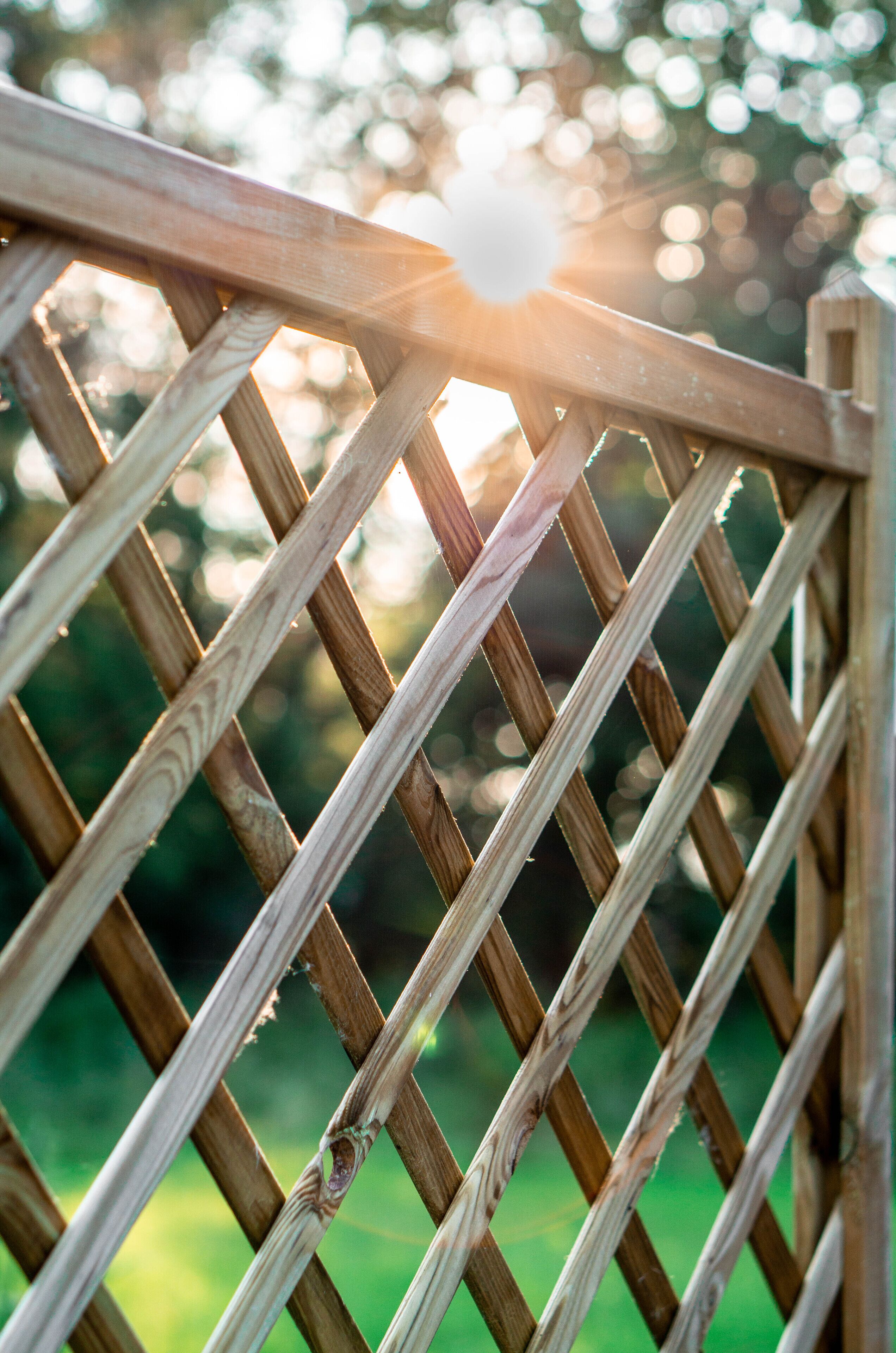 A wooden lattice structure with a blurred green background.