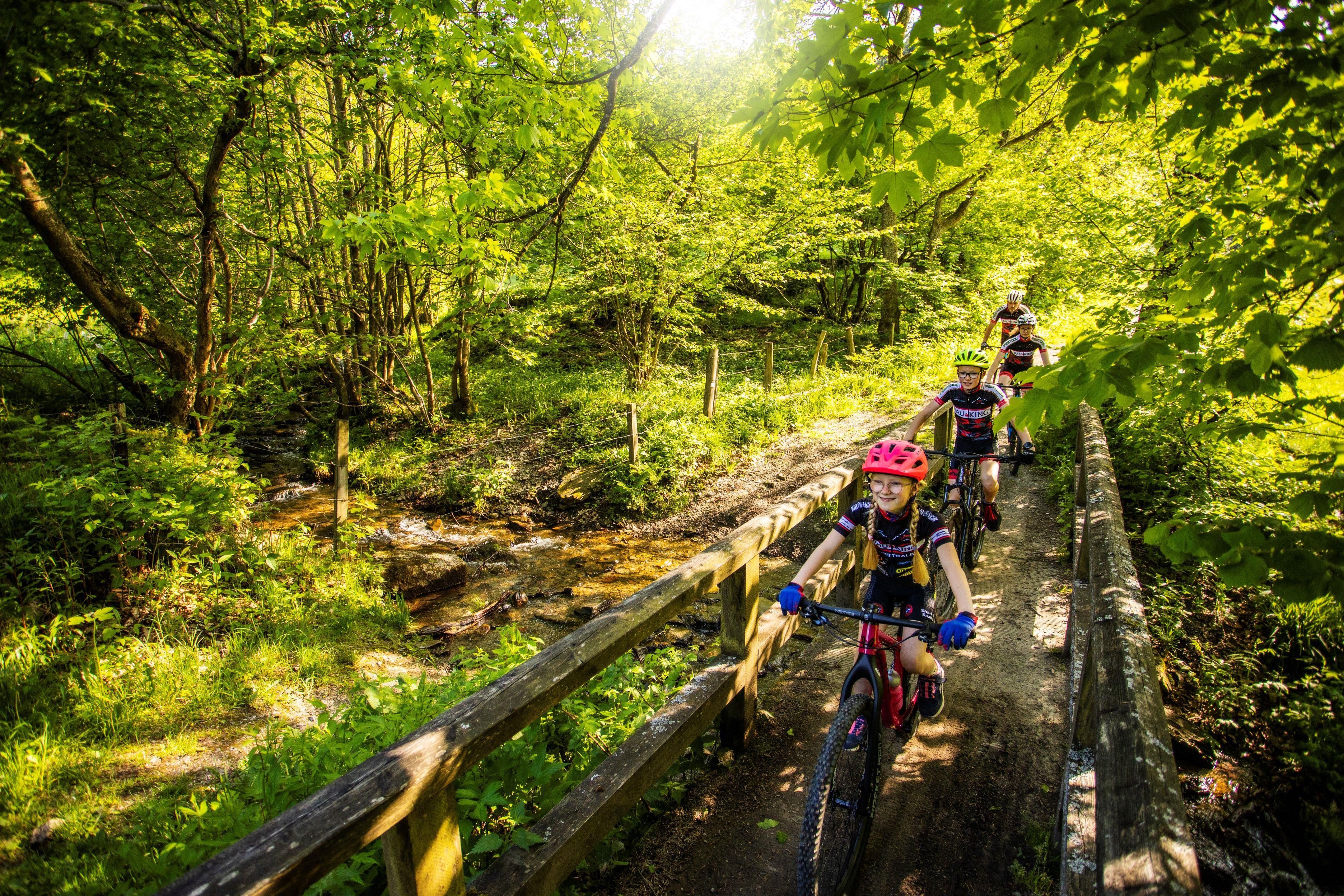Un gruppo di ciclisti su un sentiero boschivo con un ponte di legno.