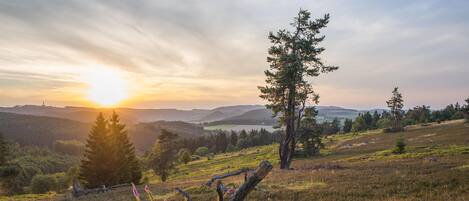 A natural landscape with a fallen tree, a clear sky, and distant hills.