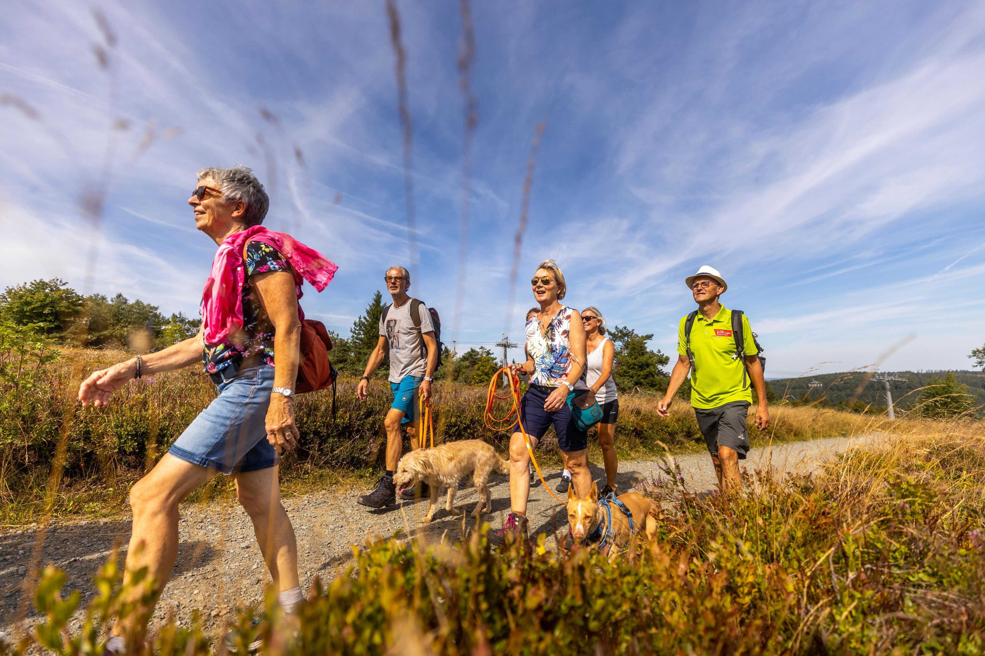 A group of people hiking on a dirt path surrounded by vegetation.