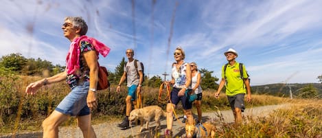 A group of people hiking on a dirt path surrounded by vegetation.