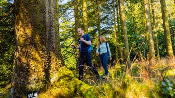 Two people hiking in a forest with tall trees and moss-covered trunks.