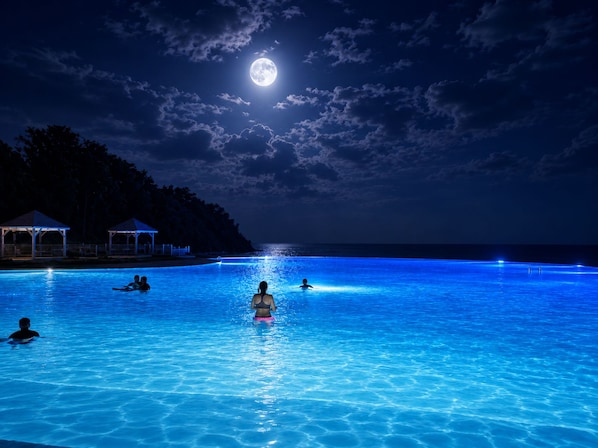 A nighttime swimming pool with a moonlit sky, surrounded by trees and covered gazebos.