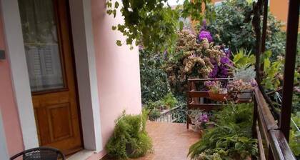 Apartments Vodaric
