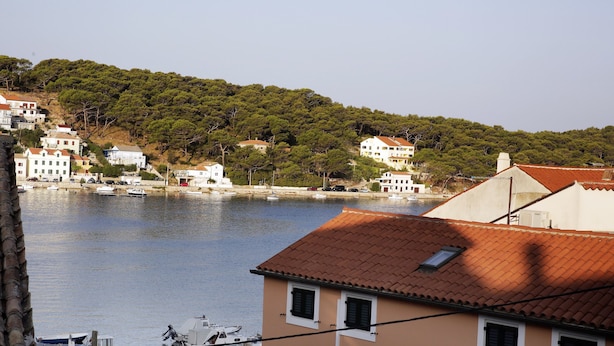 A coastal town with buildings along the water, boats docked, and a hillside with trees. - Apartments Vodaric (Mali Losinj)