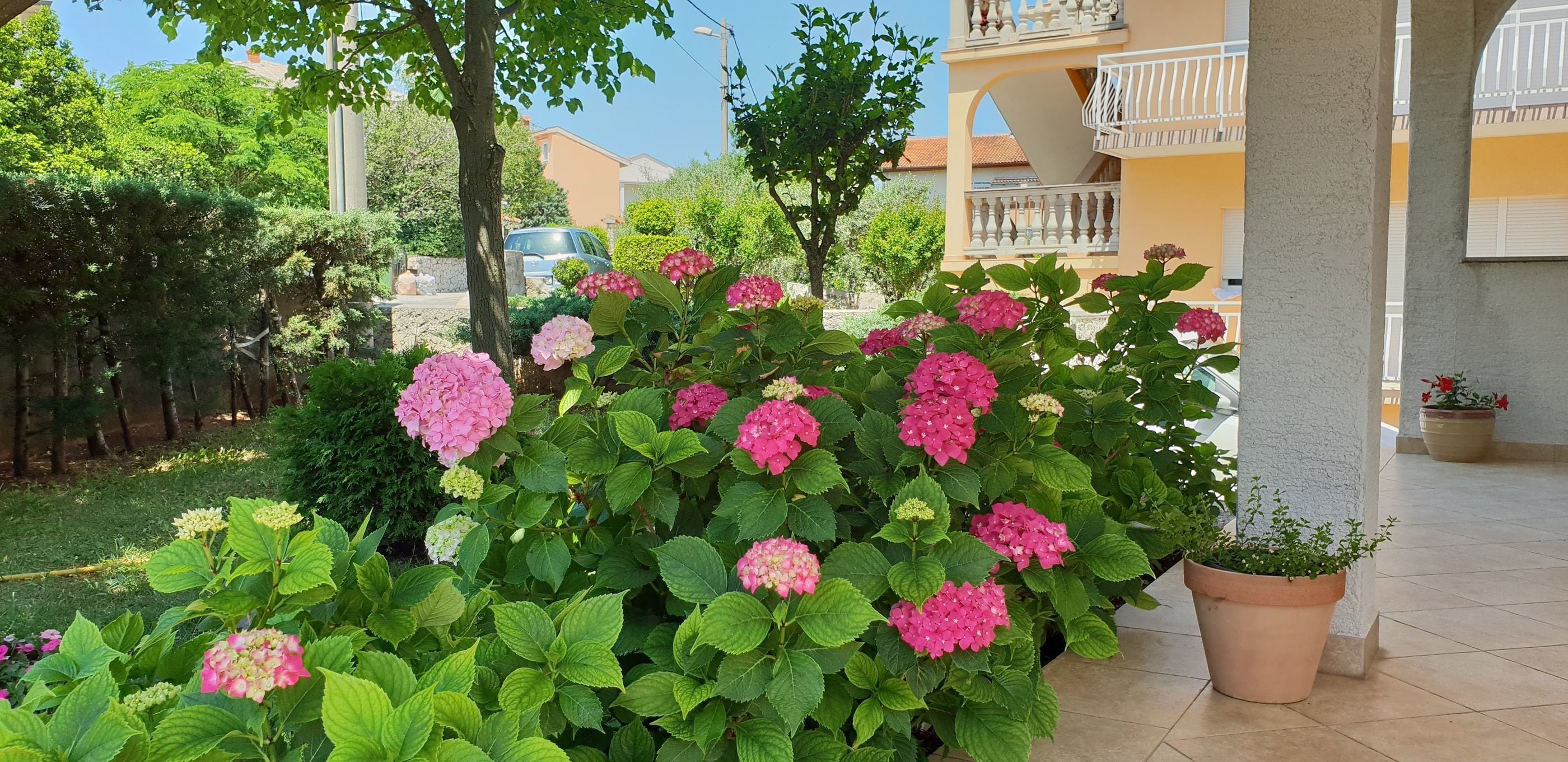 Áreas de la propiedad