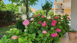 A garden with hydrangea bushes and a potted plant on a tiled patio. - Apartment Ljiljana (Novi Vinodolski)
