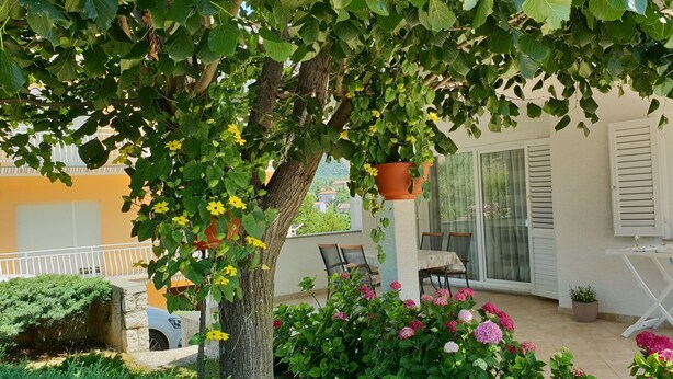 A balcony with a potted plant, a table, chairs, and a view of a building. - Apartment Ljiljana (Novi Vinodolski)