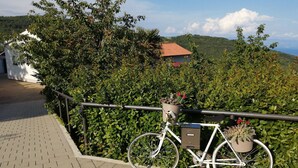 A white bicycle parked on a paved path with a metal railing, surrounded by lush greenery and a view of a hillside. - Apartment Sanja (Brsec)
