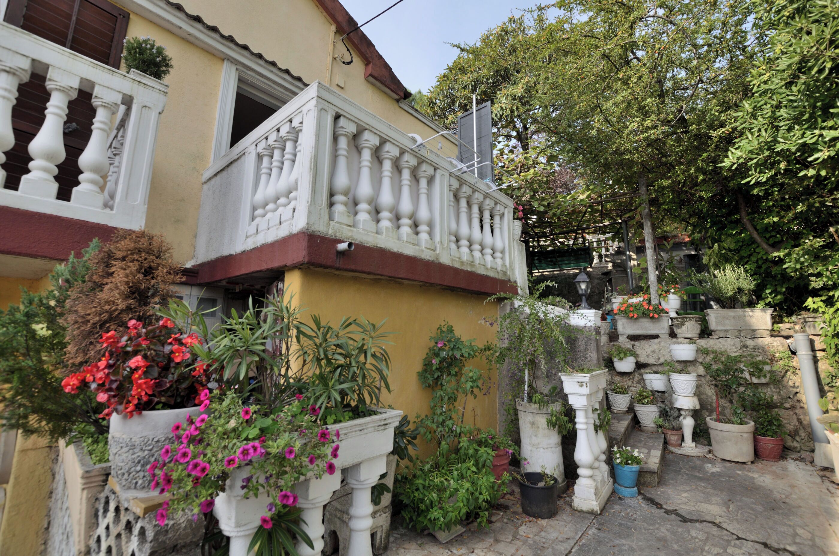 Monolocale (A2) | Terrazza/patio