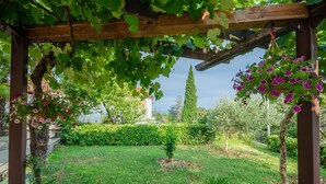Un jardin agrémenté d’une pergola, d’un petit arbre et d’une haie.