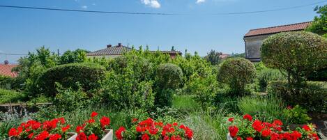 Yksityiskohta sisätiloista