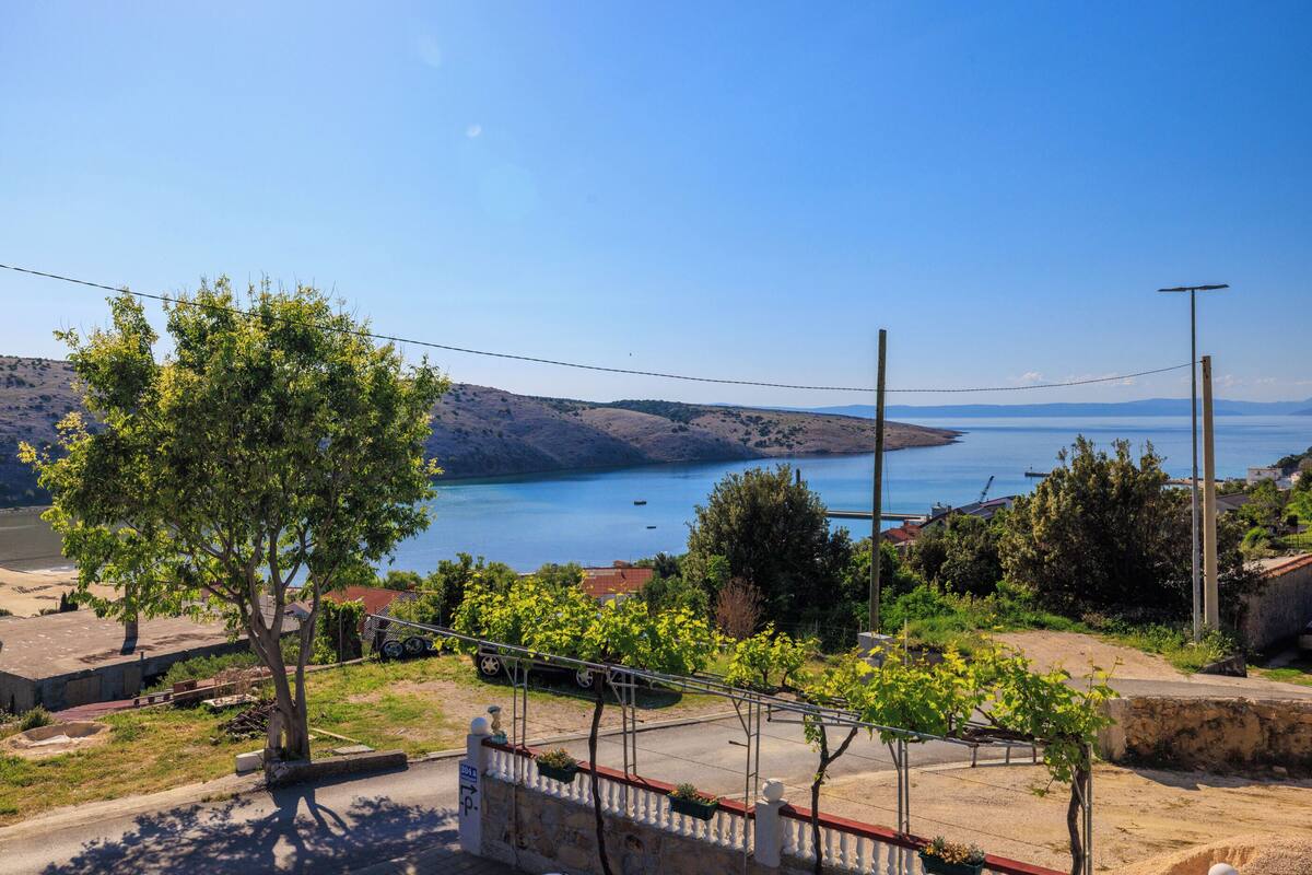 Un paysage côtier avec un vignoble, une route et une vue sur la mer.
