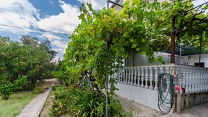 Ein Weinberg mit Weinreben, ein weißes Gebäude mit Balkon und ein Gartenweg.