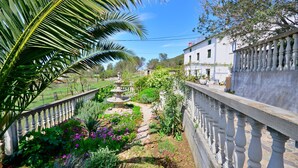 A garden with a stone pathway, a palm tree, and a white building with a balcony. - House Branka (Supetarska Draga)