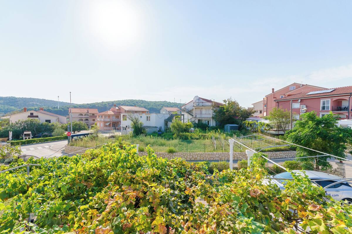 Un quartiere residenziale con case, una strada e un vigneto.