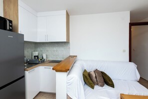 Apartment (A1) | Private kitchen | Fridge, microwave, stovetop, electric kettle