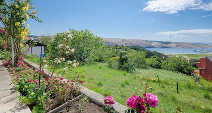 Apartment Bigterrace