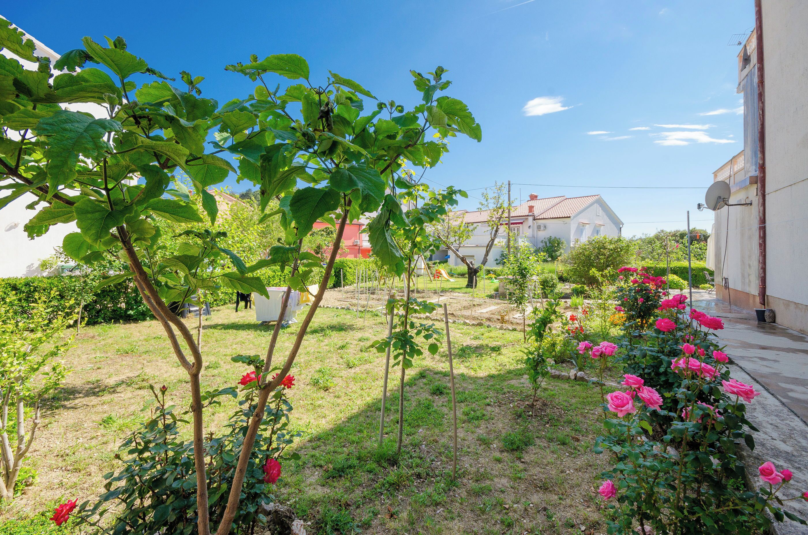 A garden with various plants and flowers, a clear sky, and a building in the background.