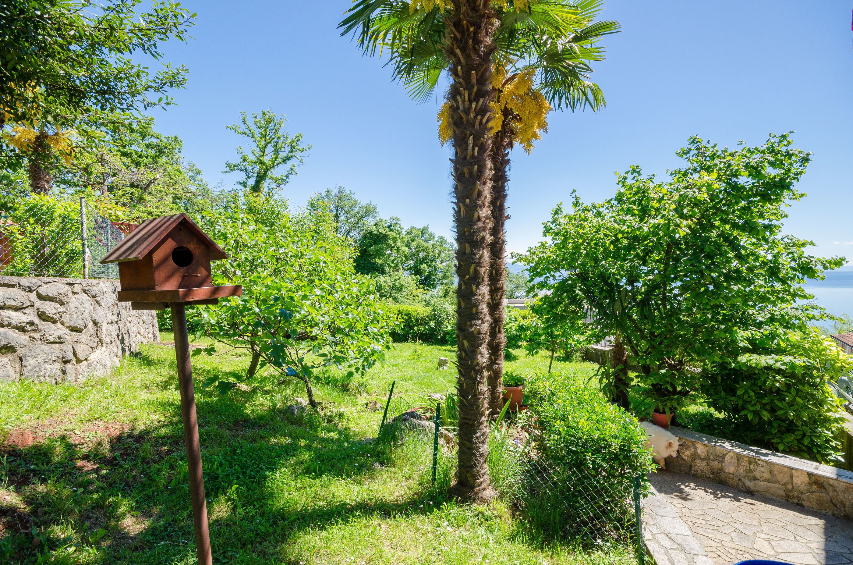 A garden with a birdhouse, palm tree, and stone wall.