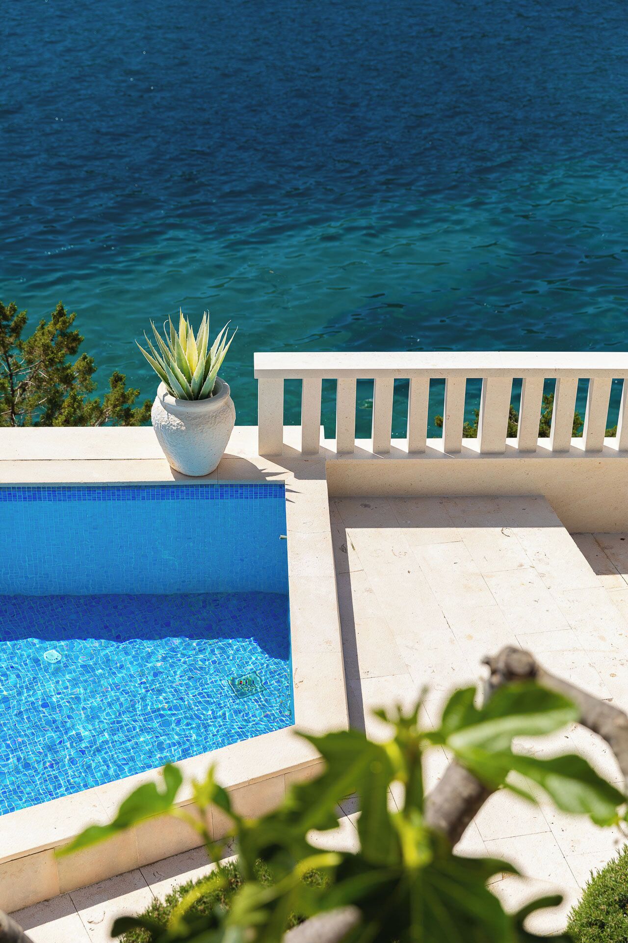 Une piscine d’un bleu éclatant, bordée d’une balustrade blanche et agrémentée d’une plante en pot.