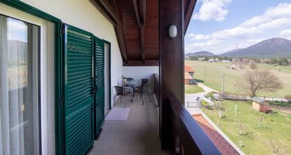 Apartments and Room Robert