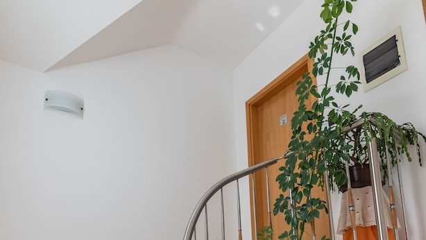 A wooden staircase with a metal railing, a potted plant, and a door with a window. - Apartments and Room Robert (Korenica)