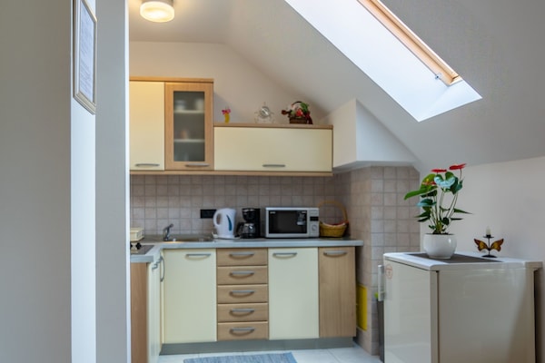 Cocina privada | Frigorífico, microondas, placa de cocina y hervidor eléctrico