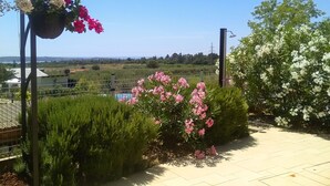 A garden area with a metal pergola, hanging flower baskets, and a variety of flowering plants. - Villa Aleksandra (Novigrad)