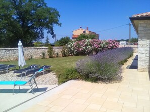 Outdoor pool - Villa Aleksandra (Novigrad)