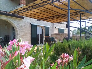Courtyard - Villa Aleksandra (Novigrad)