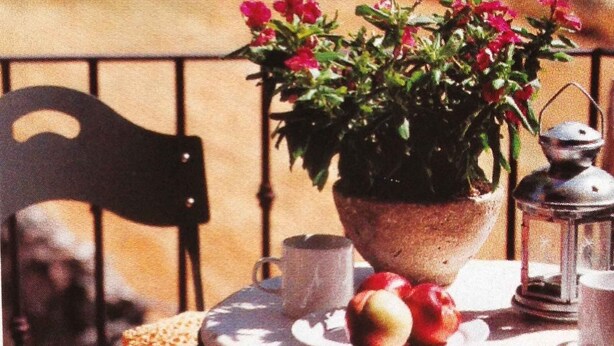 A table with a potted plant, a plate of fruit, a lantern, and a chair. - Casa Rota (Arahuetes)