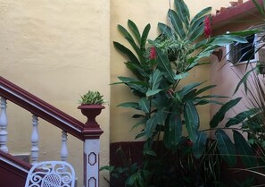 Jardín