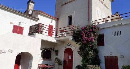 Pier delle Vigne B&B