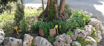 碼頭葡萄園民宿