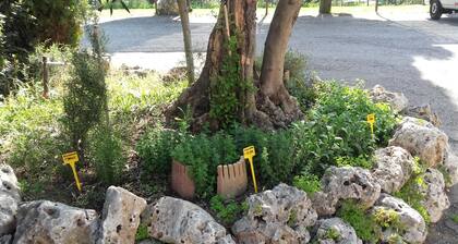 Pier delle Vigne B&B