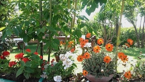 A garden with various flowering plants and a wooden fence. - Pier delle Vigne B&B (Pineto)