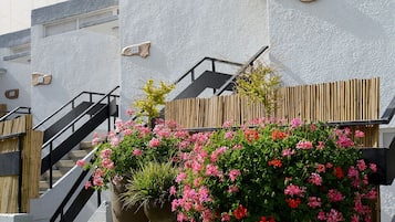 Building design
