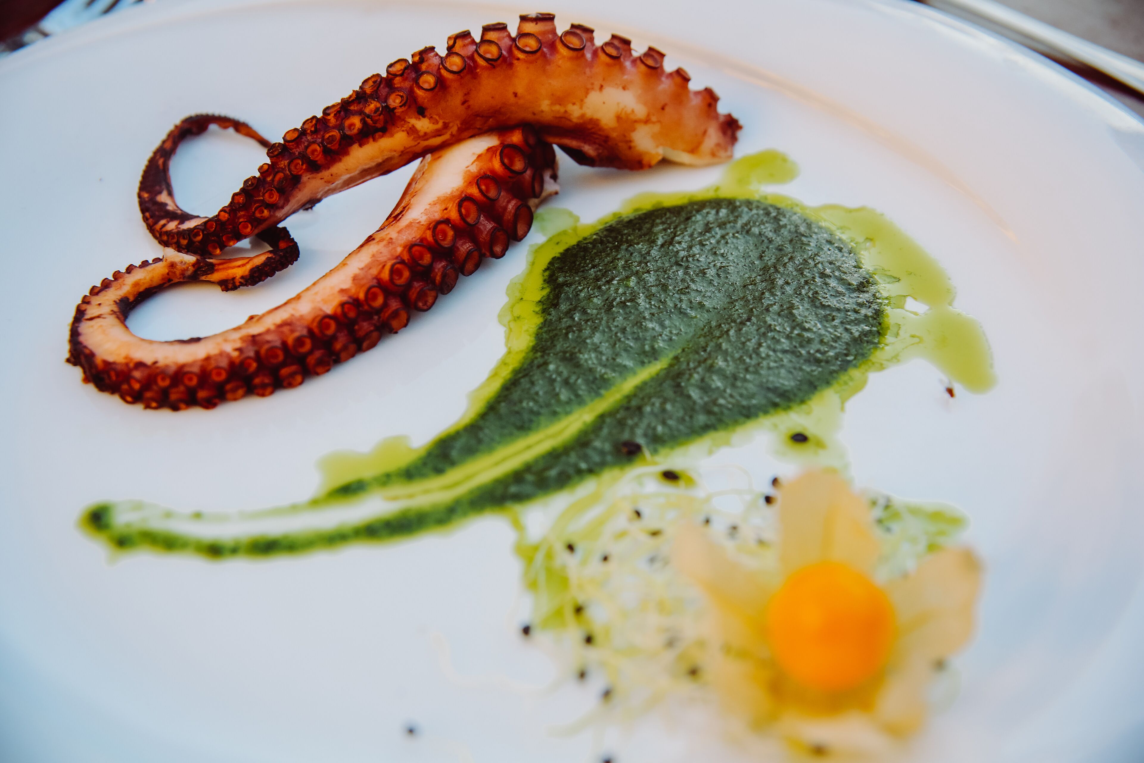 A plate with octopus tentacles, a green leaf, and a yellow flower.