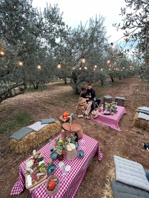 BBQ/picnic area - Heritage Hotel Raznjevica Dvori (Polaca)