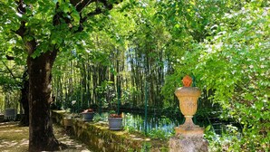 A serene garden with a stone fountain, a tree-lined pathway, and a pond. - Gîte La Ferme de Cabanis de Labahou SPA 8 pers (Anduze)