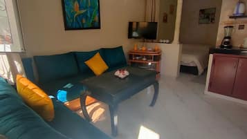 Basic Apartment | Living area | 24-inch TV with satellite channels