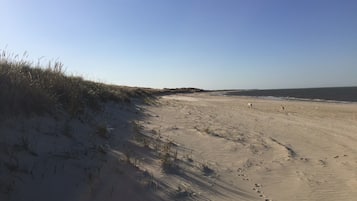 Playa en los alrededores, camastros y toallas de playa