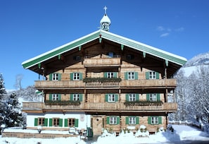 Building design - Hallerwirt Homes (Aurach bei Kitzbuehel)