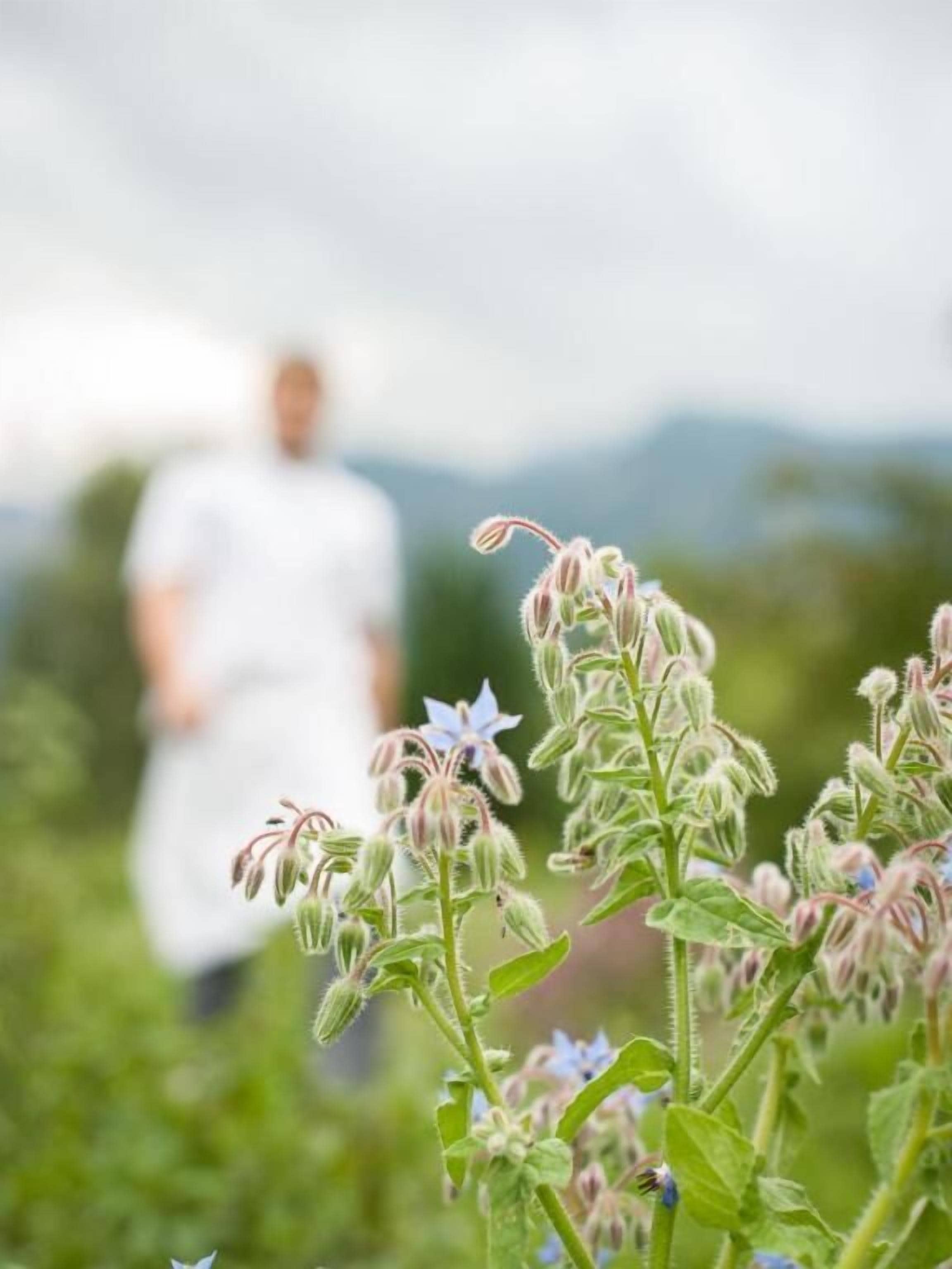Foto - Gasthof Steinerwirt